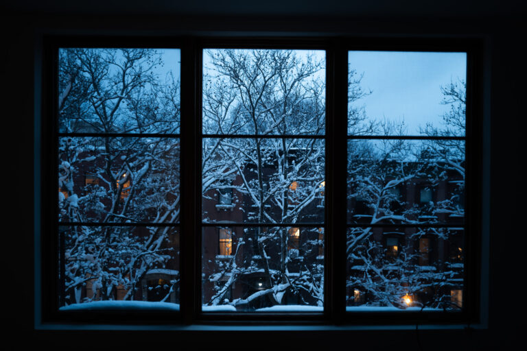 Brooklyn window sill snow